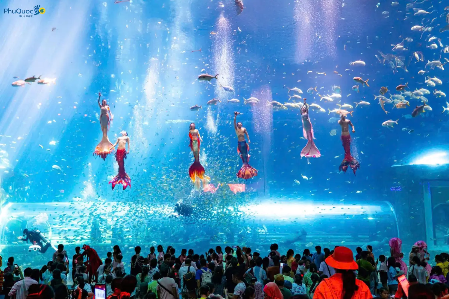 Combo Vé VinWonder và Safari Phú Quốc – Giá Ưu Đãi 2026