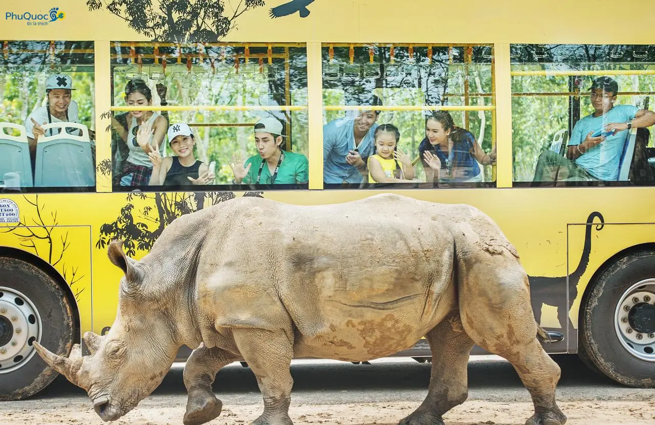 Trải nghiệm ngắm tê giác trắng ở cự ly gần qua cửa kính xe bus chuyên dụng Safari