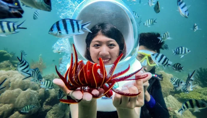 du khách trải nghiệm tour 4 đảo đi bộ dưới biển phú quốc tương tác với sinh vật biển cùng thợ lặn