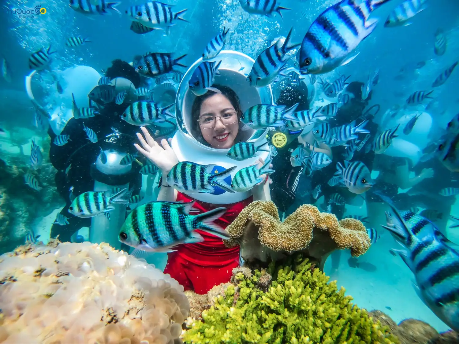 tour 4 đảo đi bộ dưới biển phú quốc - du khách trải nghiệm seawalker tại công viên san hô