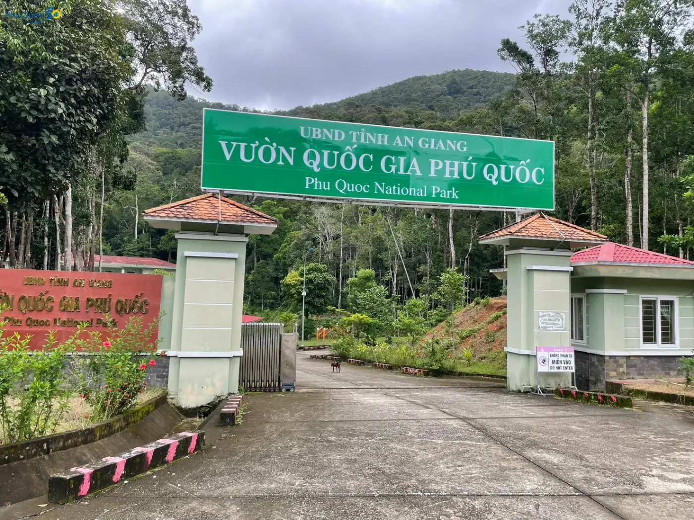 Exploring primary forest vegetation in Phu Quoc National Park