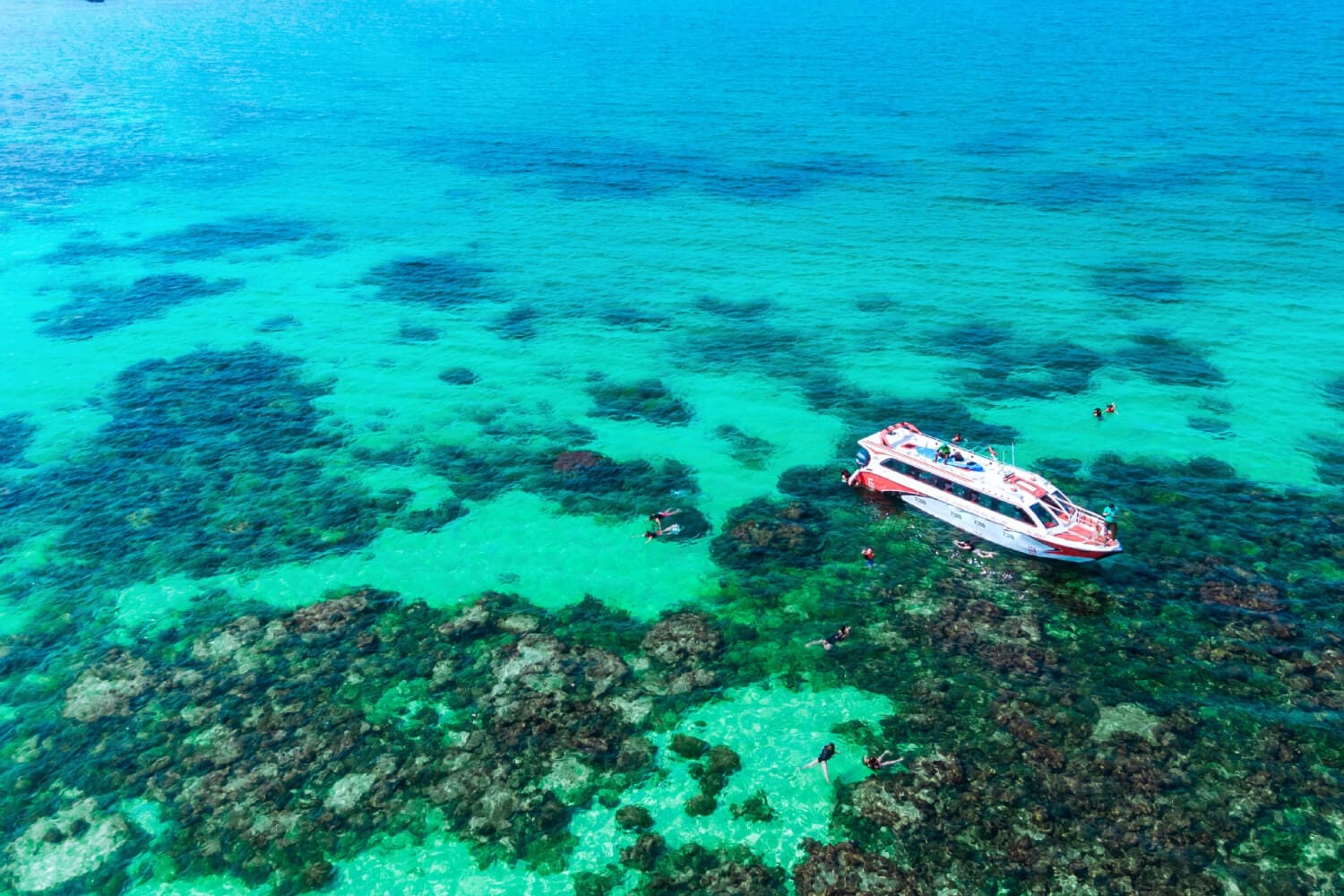 Natural coral reef snorkeling scene at Hon Gam Ghi, Phu Quoc in a 3 days 2 nights tour for first-timers, with anchored speedboats and tourists exploring
