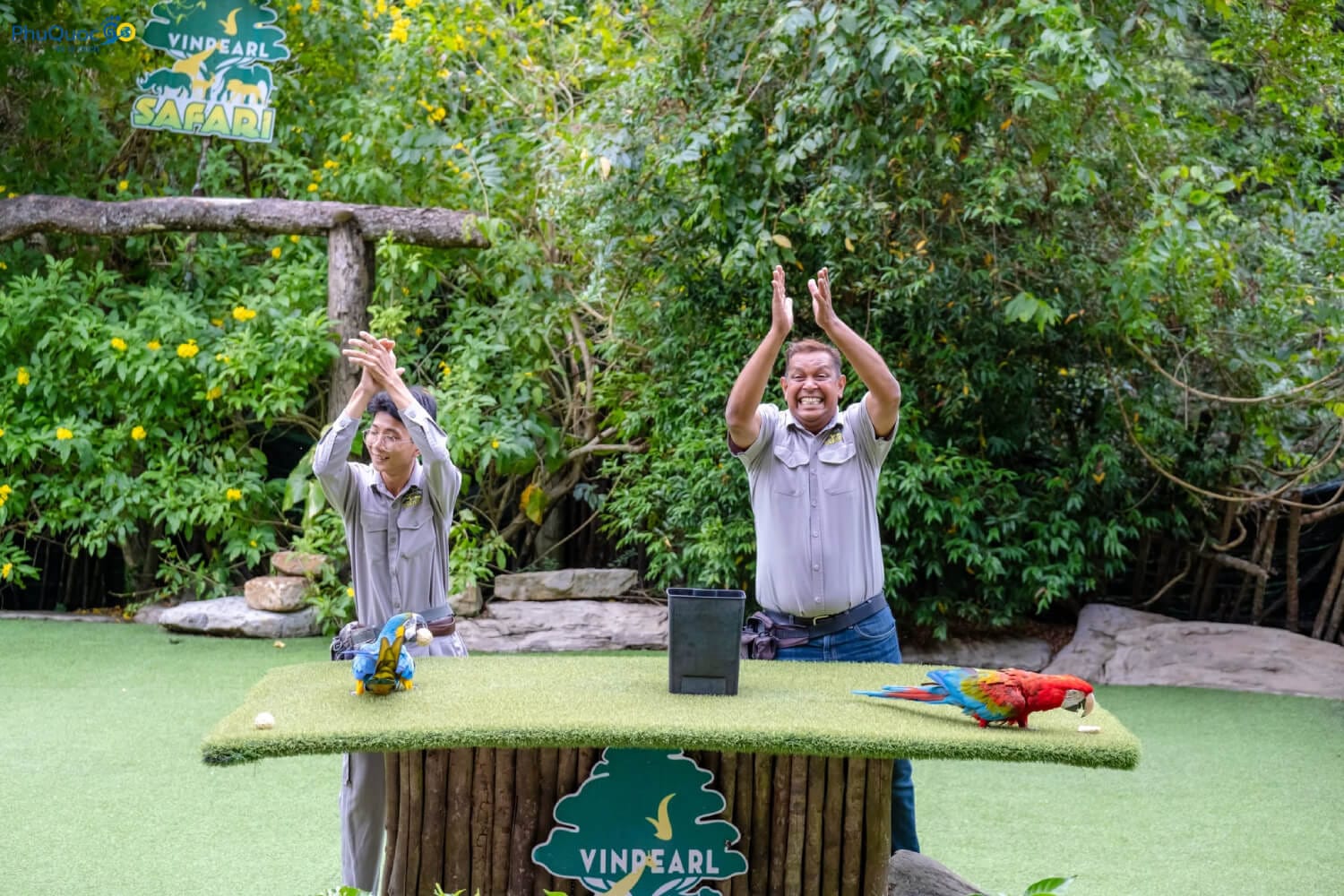 Show diễn Bird Show với các loài chim quý hiếm sải cánh phô diễn đặc tính tự nhiên tại Safari Phú Quốc