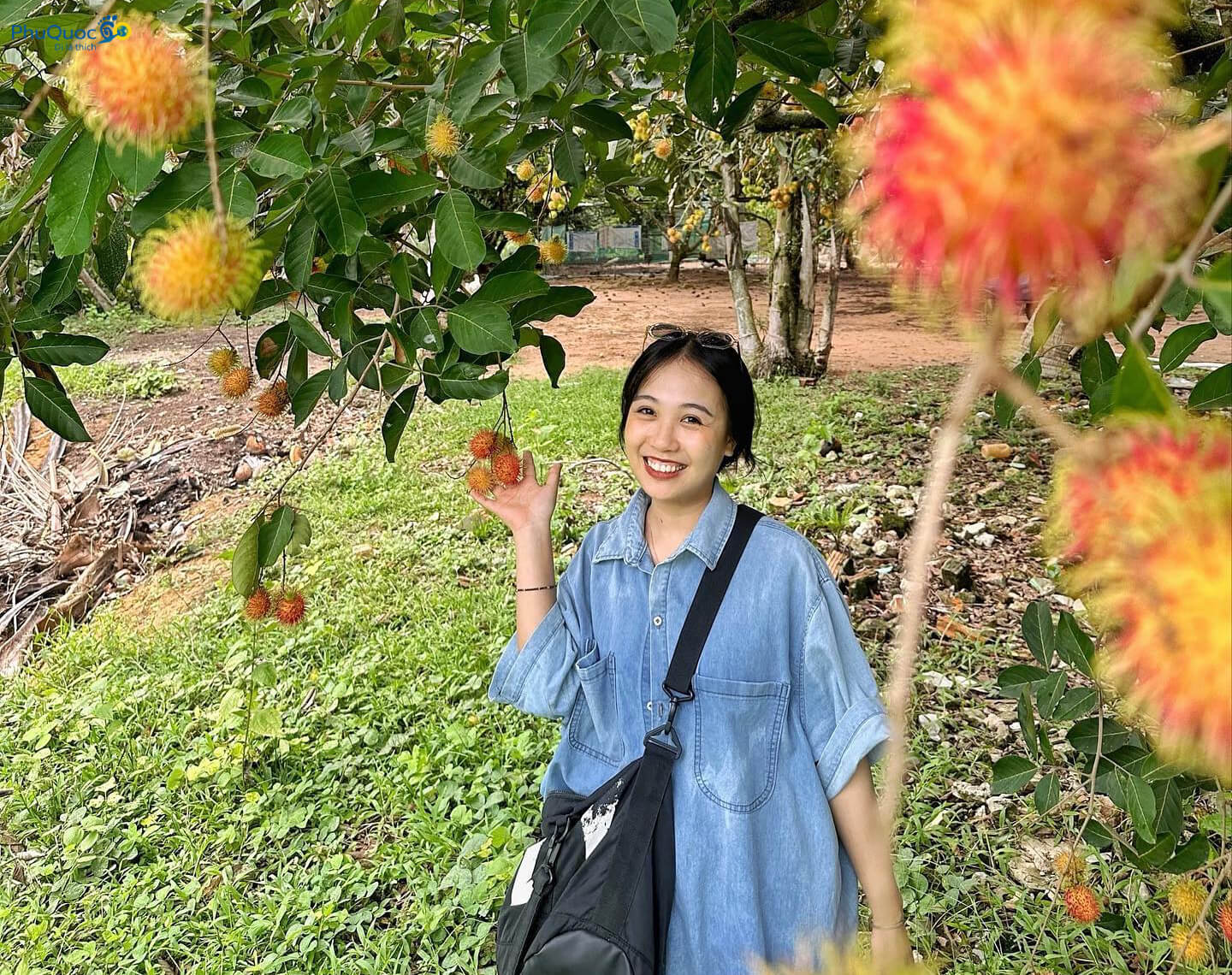 Phu Quoc summer travel experience peak ripe fruit season
