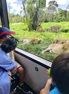 Hình ảnh thực tế đi Safari Phú Quốc của khách hàng 劉子穎