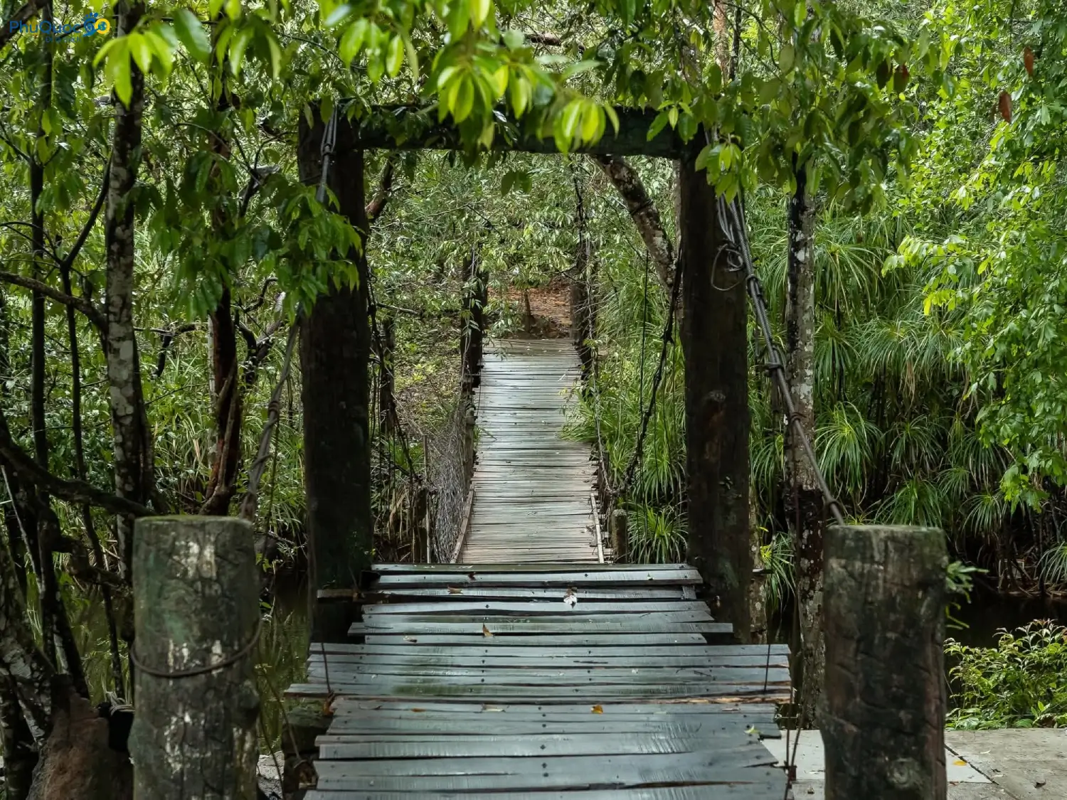 Suspension bridge across Da Ban Stream Phu Quoc