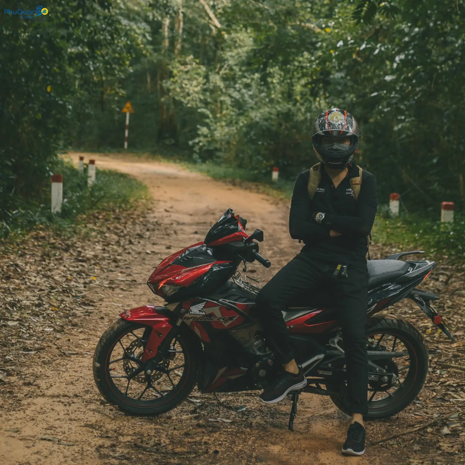 Paved road running through the primeval forest of North Phu Quoc