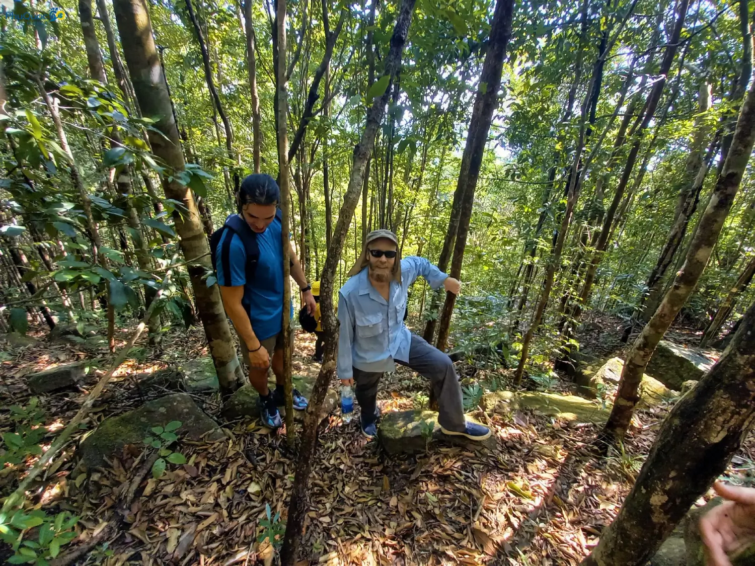 Shaded dirt trail through forest canopy when trekking Da Bac Mountain Phu Quoc