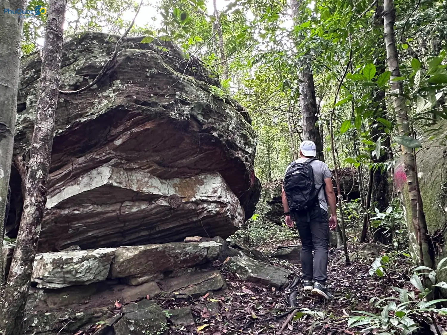 A giant granite rock protruding amid the primeval forest on Tien Son Peak Phu Quoc