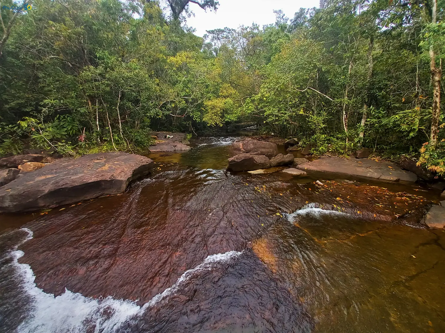 Primal uncommercialized natural beauty of Suoi Mo Phu Quoc