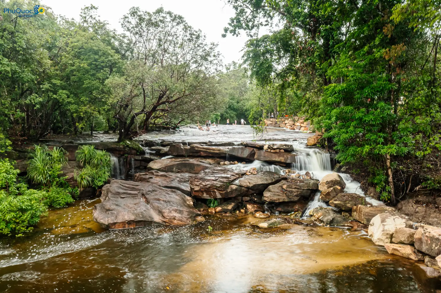 Da Ban Stream flowing through Phu Quoc primeval forest