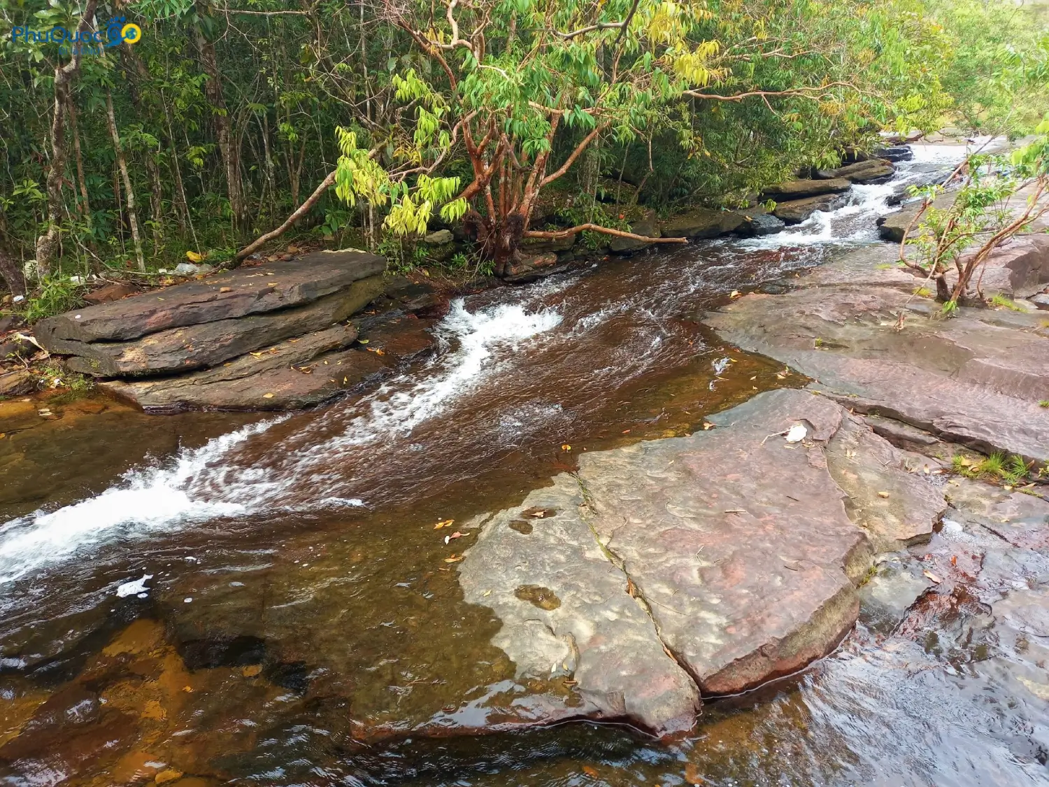 Clear cool water at Suoi Mo Phu Quoc suitable for trekking beginners