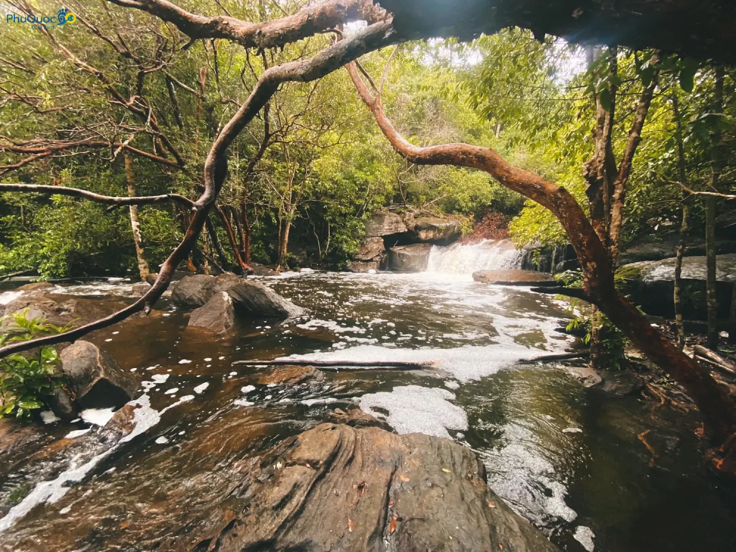 Suoi Tien Stream Phu Quoc flowing over granite rocks in the pristine Ham Ninh jungle
