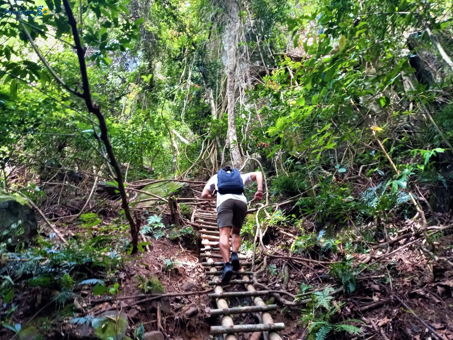 Tourists trekking through primary forest in Phu Quoc National Park
