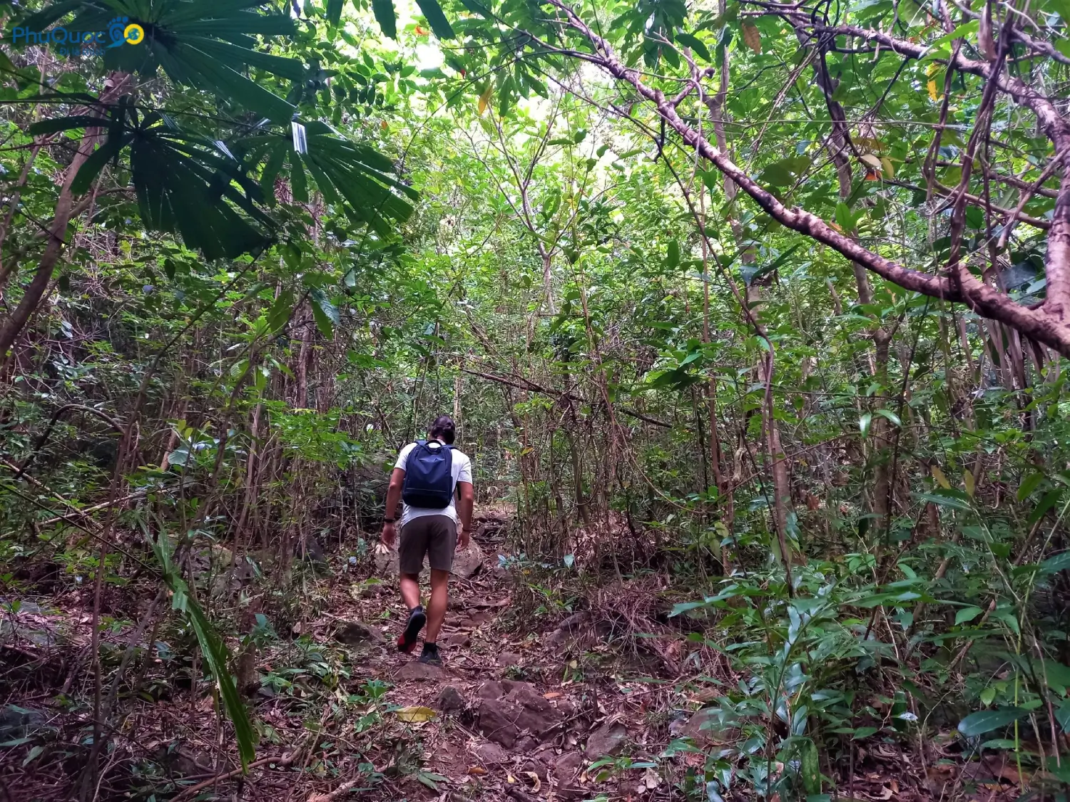 Travelers trekking through the primeval forest of Phu Quoc on a trail