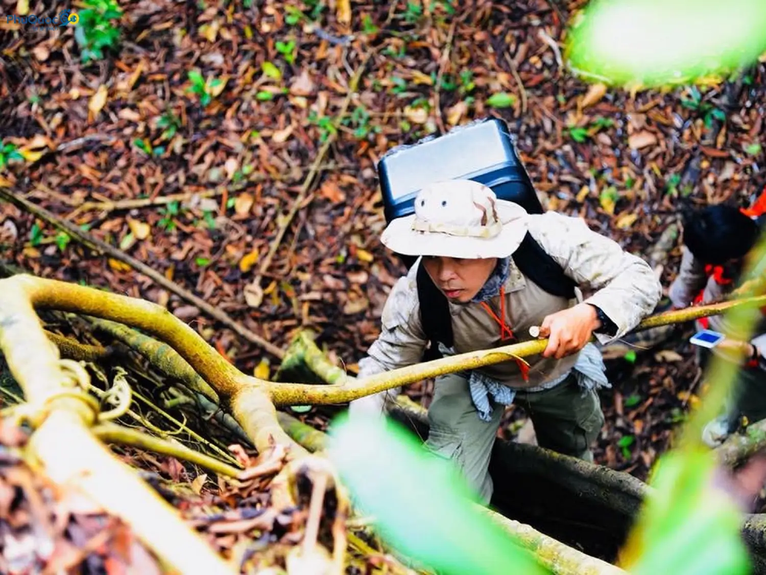 Tourists trekking through Phu Quoc primeval forest with diverse tropical vegetation