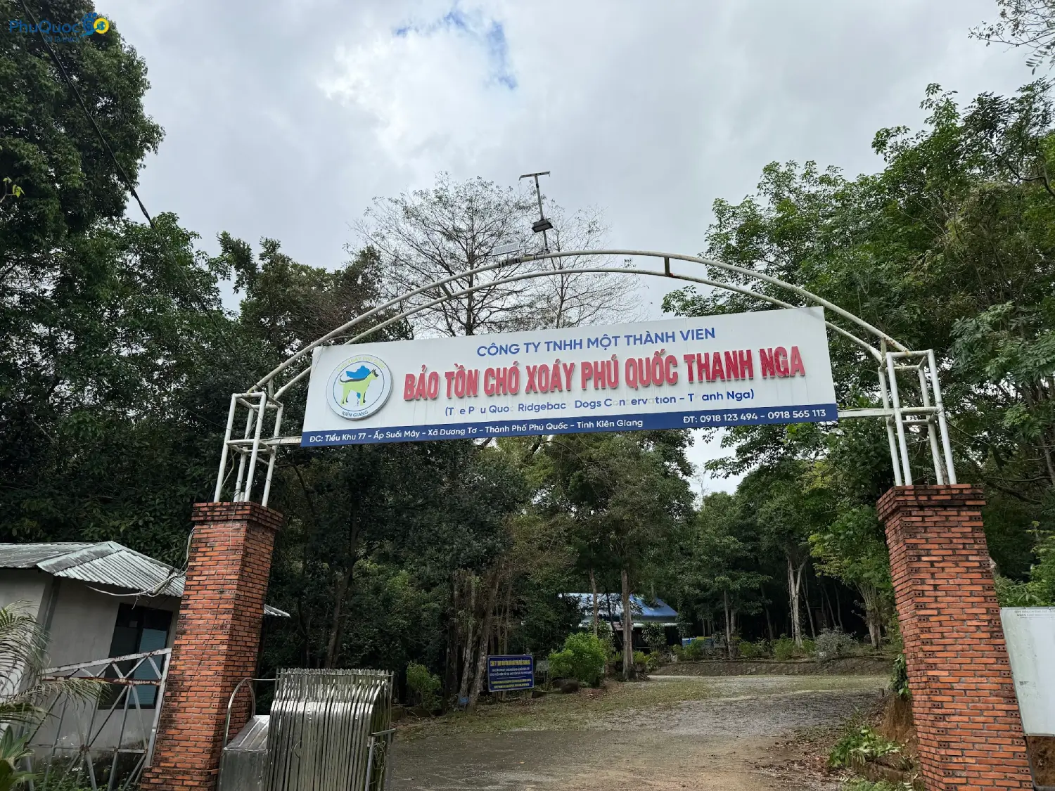 Grounds of Phu Quoc Ridgeback Conservation Center Thanh Nga Farm in Suoi May forest