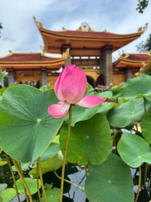Hình ảnh thực tế đi Tour Nam Đảo Phú Quốc của khách hàng Michael Carter