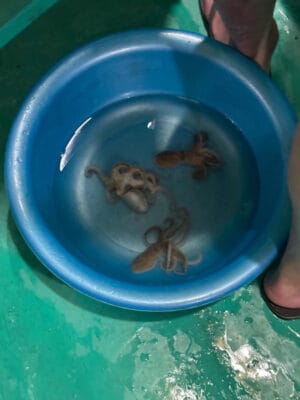 Hình ảnh thực tế đi tour câu mực đêm của khách hàng Tyler Morgan
