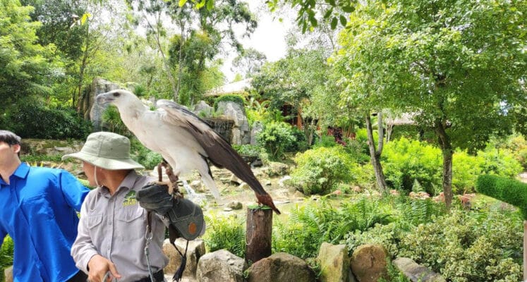 Hình ảnh thực tế đi Safari Phú Quốc của khách hàng 林芷晴