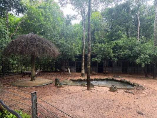 Hình ảnh thực tế đi Safari Phú Quốc của khách hàng Phạm Hoàng Nam