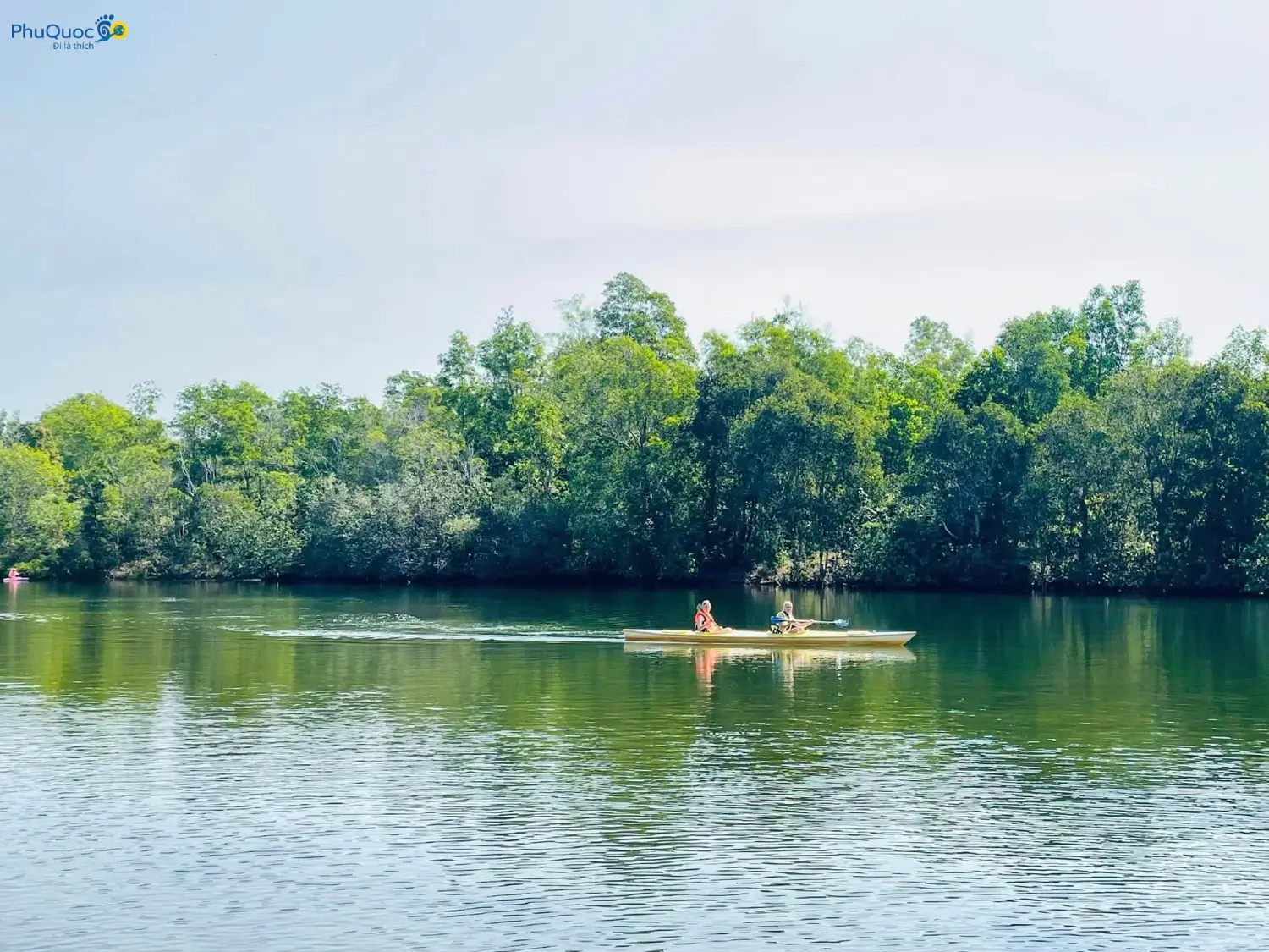 Du khách chèo thuyền kayak trên sông Cửa Cạn Phú Quốc giữa rặng dừa nước