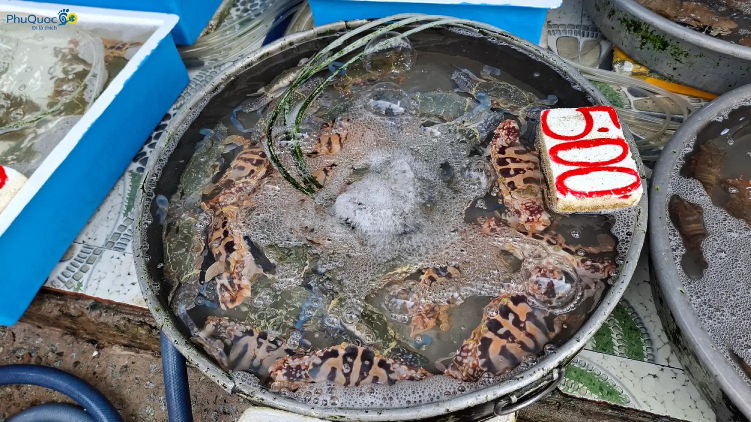 Close-up of fresh, firm Phu Quoc flower crab at a Duong Dong Market stall