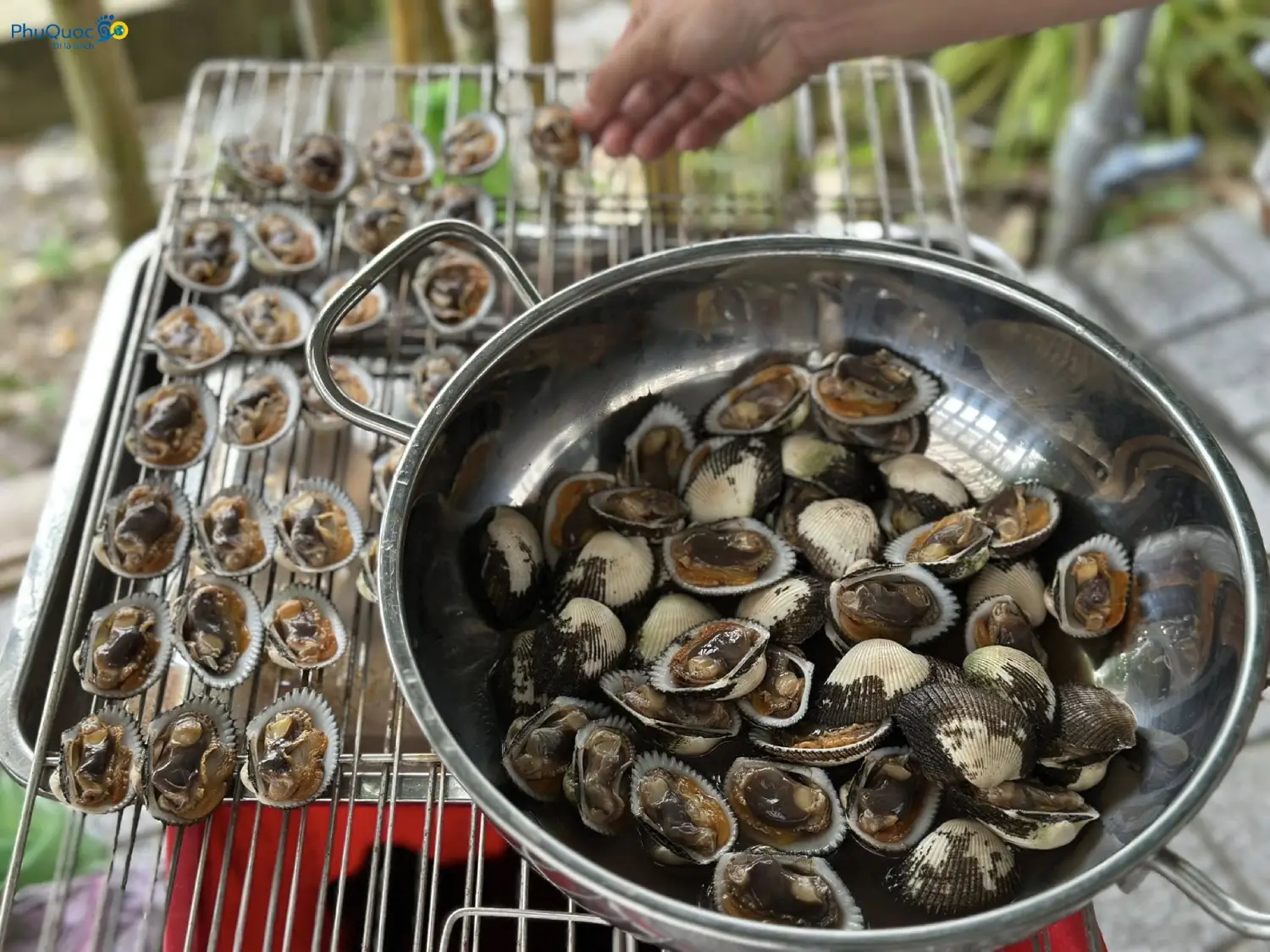Fresh blood cockles and charcoal grilled blood cockles at a seaside restaurant in Vinh Dam Phu Quoc
