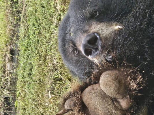 Hình ảnh thực tế đi Safari Phú Quốc của khách hàng Megan Holloway