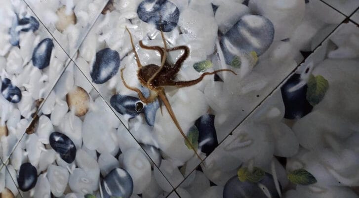 Real photos of customer Ngọc Hân joining Phu Quoc squid fishing tour