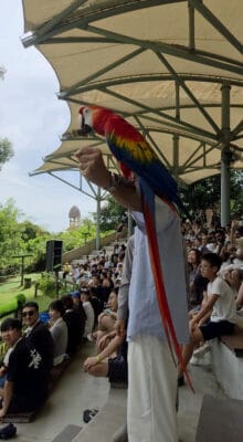 고객 Jessica Miller님이 푸꾸옥 사파리 입장권에 참여한 실제 사진