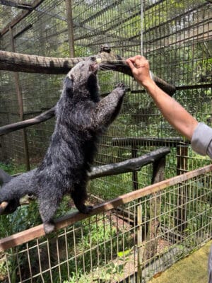 Hình ảnh thực tế đi Safari Phú Quốc của khách hàng Lê Văn Phúc