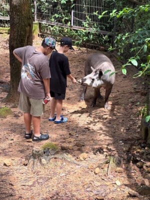 Hình ảnh thực tế đi Safari Phú Quốc của khách hàng Lê Văn Phúc