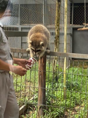Hình ảnh thực tế đi Safari Phú Quốc của khách hàng Lê Văn Phúc