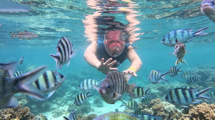 Real photos of customer Ellisna Dewi joining Phu Quoc 4 island tour with sea walking