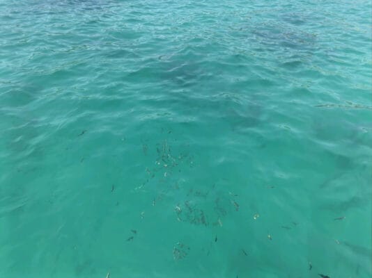 Real photos of customer SUJEONG KIM joining Phu Quoc Boat Tour